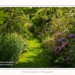 Les_jardins_des_lianes_0065-border