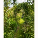 Les_jardins_des_lianes_0076-border
