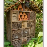 Les_jardins_des_lianes_0077-border