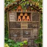 Les_jardins_des_lianes_0078-border