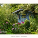 Les_jardins_des_lianes_0086-border