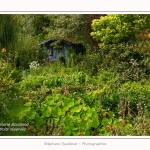 Les_jardins_des_lianes_0089-border