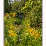 Les_jardins_des_lianes_0097-border