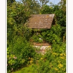Les_jardins_des_lianes_0098-border