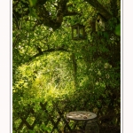 Les_jardins_des_lianes_0099-border