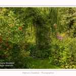 Les_jardins_des_lianes_0118-border