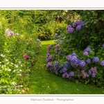 Les_jardins_des_lianes_0119-border