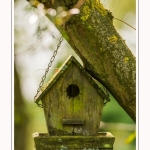 Les_jardins_des_lianes_0122-border