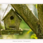 Les_jardins_des_lianes_0123-border