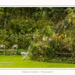 Les_jardins_des_lianes_0130-border