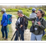 Festival de l'oiseau et de la nature 2025