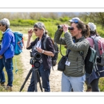 Festival de l'oiseau et de la nature 2025