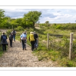 Festival de l'oiseau et de la nature 2025