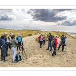 Festival de l'oiseau et de la nature 2025