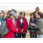 Festival de l'oiseau et de la nature 2025