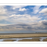 Cavaliers sur la plage