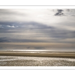 Cavaliers sur la plage