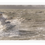 Kitesurf au Crotoy en baie de Somme