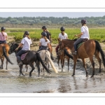 Cavaliers dans le lit de la Maye en Baie de Somme