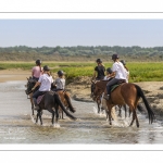 Cavaliers dans le lit de la Maye en Baie de Somme