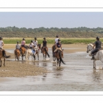 Cavaliers dans le lit de la Maye en Baie de Somme