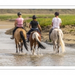 Cavaliers dans le lit de la Maye en Baie de Somme