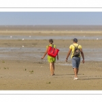 Promeneurs en baie de Somme à marée basse