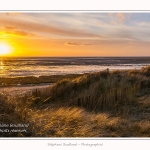 Le_Crotoy_27_02_2015_008-border.jpg