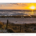 Le_Crotoy_27_02_2015_009-border.jpg