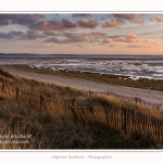 Le_Crotoy_27_02_2015_011-border.jpg
