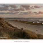 Le_Crotoy_27_02_2015_013-border.jpg