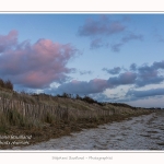 Le_Crotoy_27_02_2015_014-border.jpg