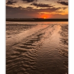 Le_Crotoy_10_10_2014_006-BorderMaker