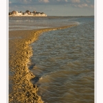 Le_Crotoy_11_10_2014_0003-border