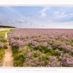 Plages_Maye_26_07_2016_002-border