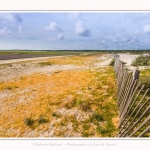 Plages_Maye_26_07_2016_003-border