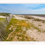 Plages_Maye_26_07_2016_004-border