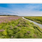 Plages_Maye_26_07_2016_005-border