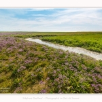 Plages_Maye_26_07_2016_008-border