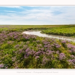 Plages_Maye_26_07_2016_009-border