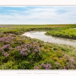 Plages_Maye_26_07_2016_010-border