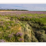Plages_Maye_26_07_2016_013-border