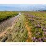 Plages_Maye_26_07_2016_014-border