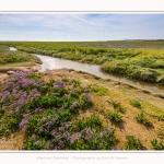 Plages_Maye_26_07_2016_015-border