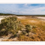 Plages_Maye_26_07_2016_016-border