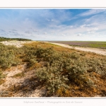 Plages_Maye_26_07_2016_017-border