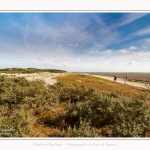 Plages_Maye_26_07_2016_018-border