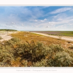 Plages_Maye_26_07_2016_020-border