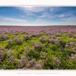Plages_Maye_26_07_2016_021-border