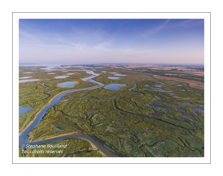 Survol du fond de la Baie de Somme. Les tâches violettes sont des lilas de mer.